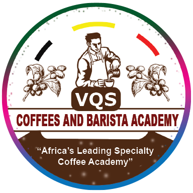VQS Logo