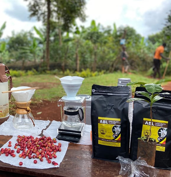 VQS Coffee tourism
