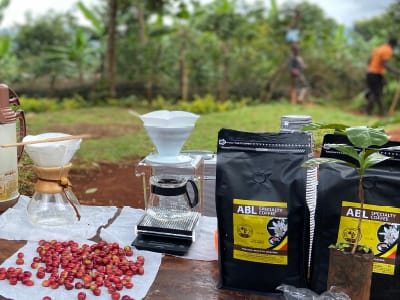 Coffee tourism
