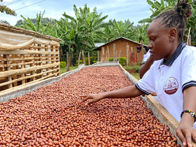 Specialty Coffee Exports