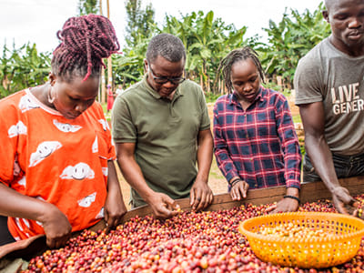 Green Coffee Buyers