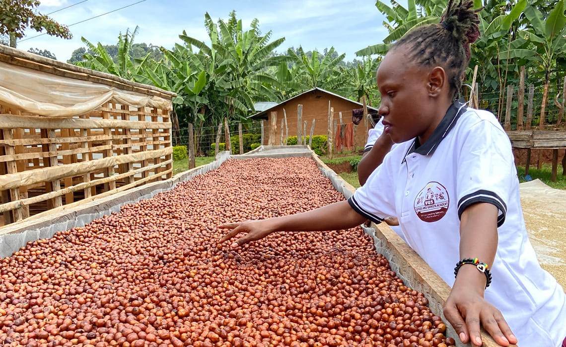 VQS Specialty Coffee Exports