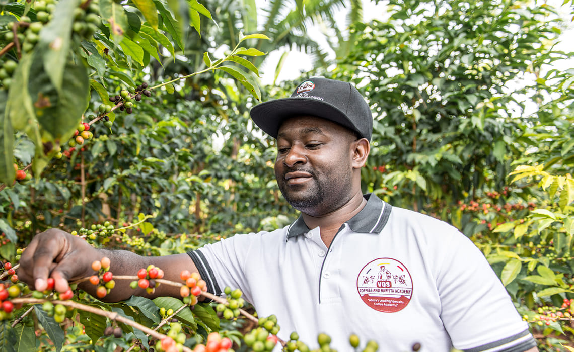 VQS Green Coffee Buyers