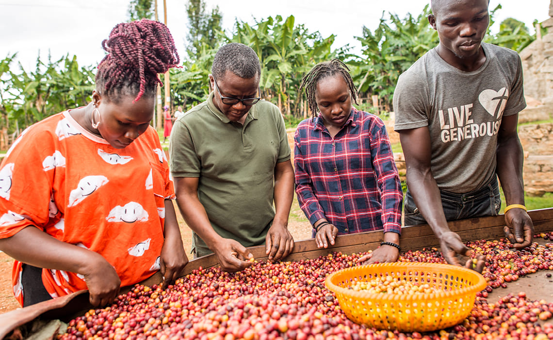 VQS Green Coffee Buyers